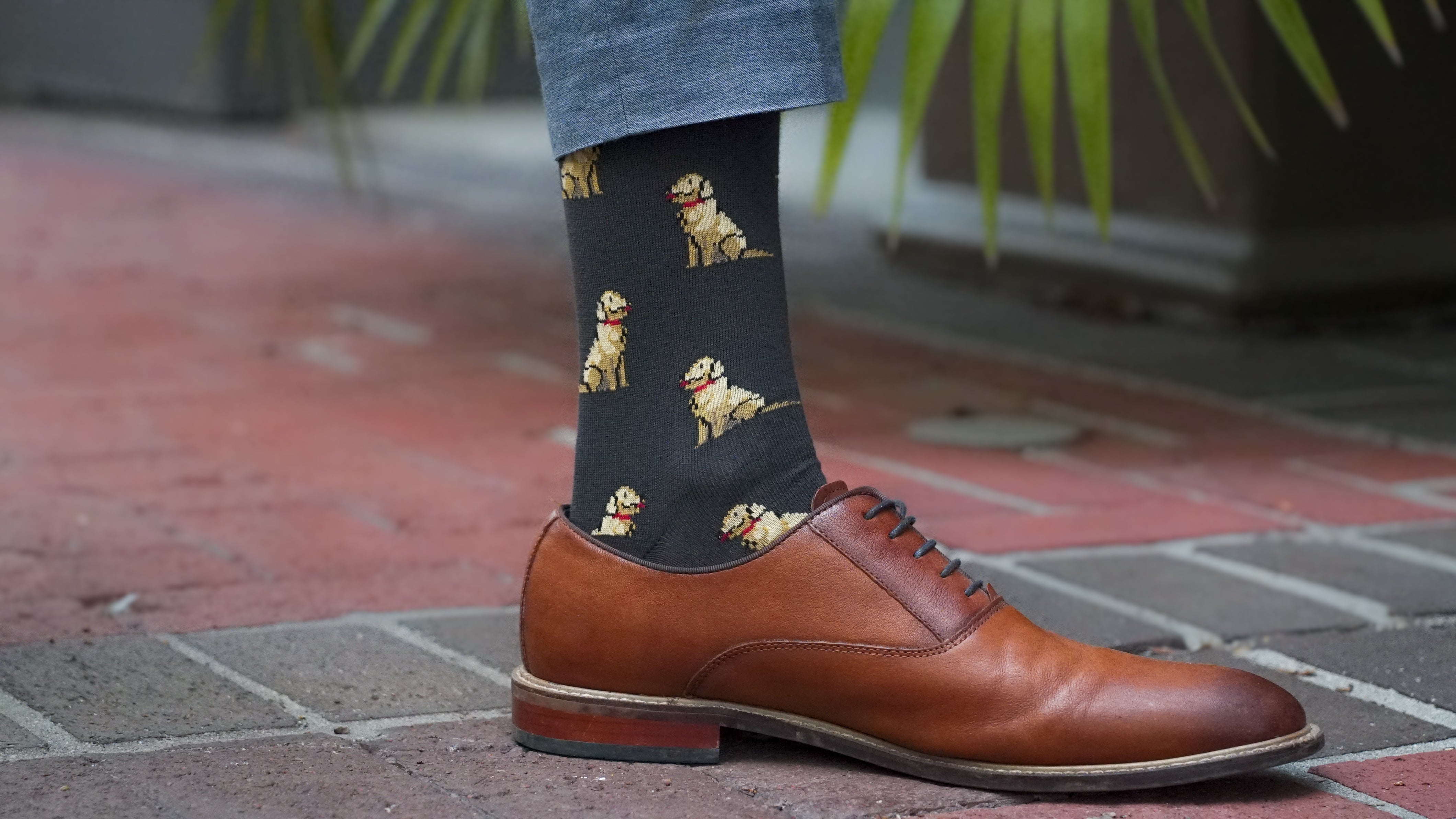 Golden Retriever Sock - ELL & Atty